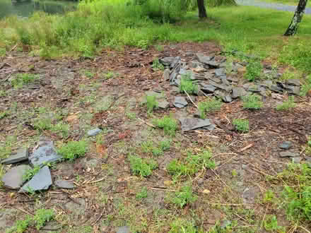 Photo of free Blue stone pavers (Clinton Corners) #2