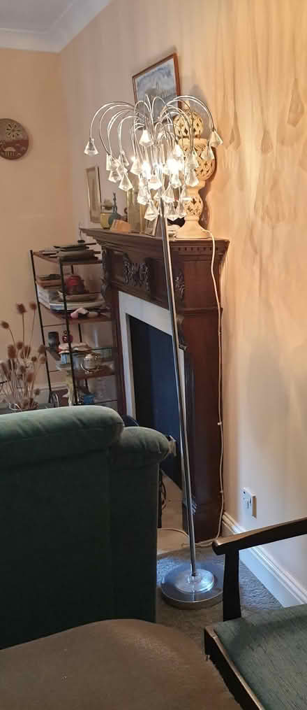 Photo of free Standard lamp (Belmont SM2) #1