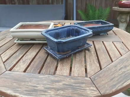Photo of free Bonsai containers (Wellington somerset) #1