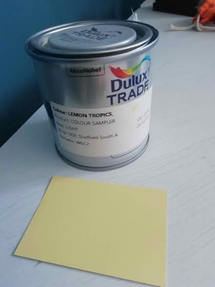 Photo of free Paint tester pot lemon tropics (Greystones S11) #1