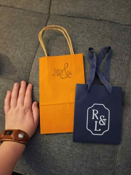 Photo of free Two small paper gift bags (Upper North Mankato) #1