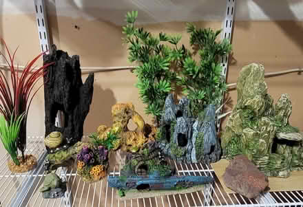 Photo of free Aquarium Decorations (Willistown, Near Rt3 & 352) #1