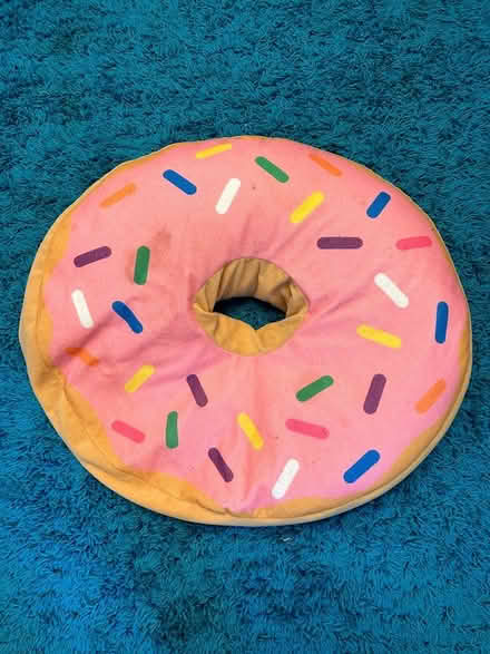 Photo of free Doughnut beanbag (WA14) #1