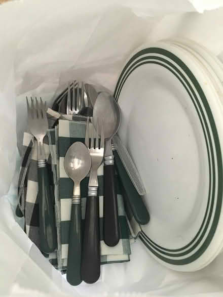 Photo of free Picnic plates and cutlery (Redhill RH1) #1