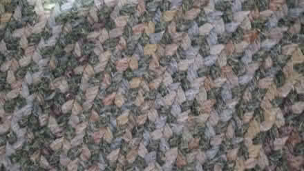 Photo of free Braided Rug 3X5 ? Green/browns (S Weymouth) #2