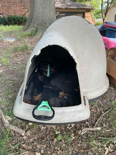 Photo of free Dog house (igloo) (Raytown) #1