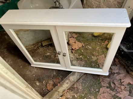 Photo of free bathroom cabinet (Barons Court W14) #1