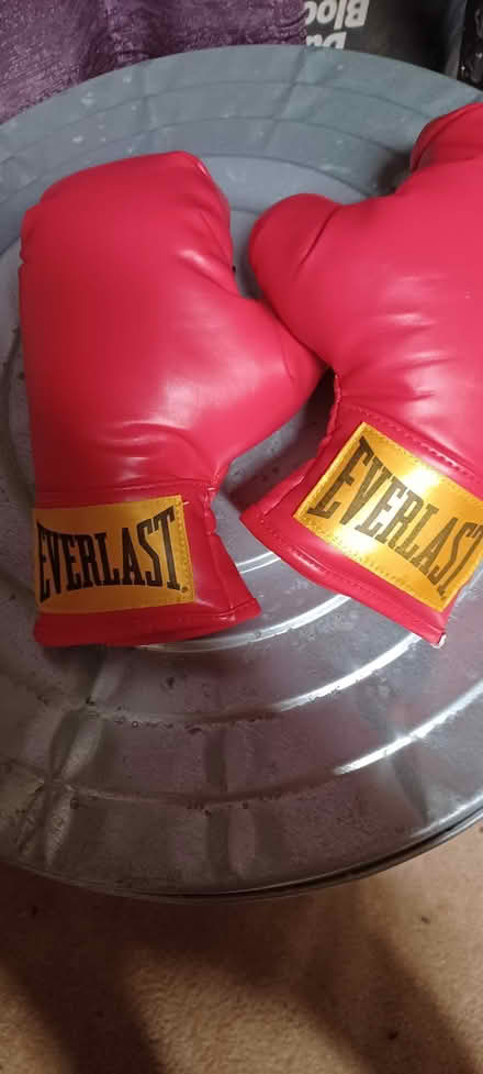 Photo of free Youth boxing gloves (Denbigh) #1
