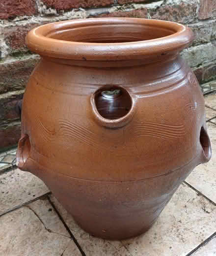 Photo of free strawberry pot (Wakefield WF1) #1