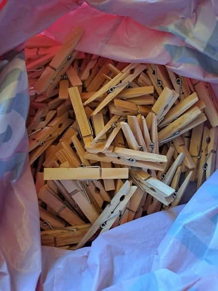Photo of free Wooden clothes pegs (South Gosforth NE3) #1