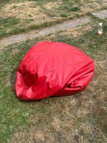 Photo of free CoziBag Bean Bag Chair (SE6) #2