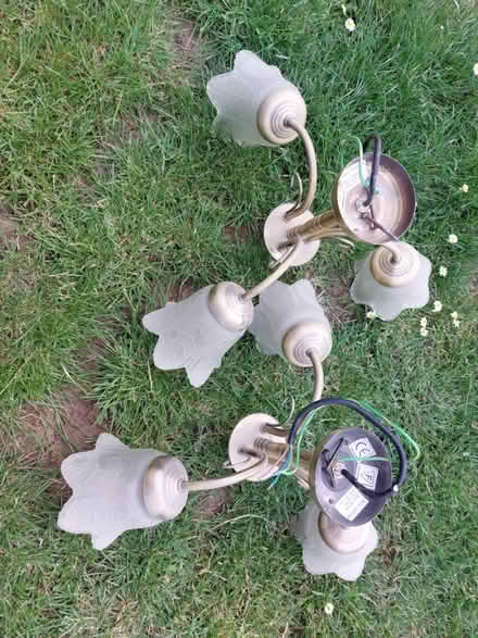 Photo of free Ceiling Lights (Kempshott, Basingstoke) #2