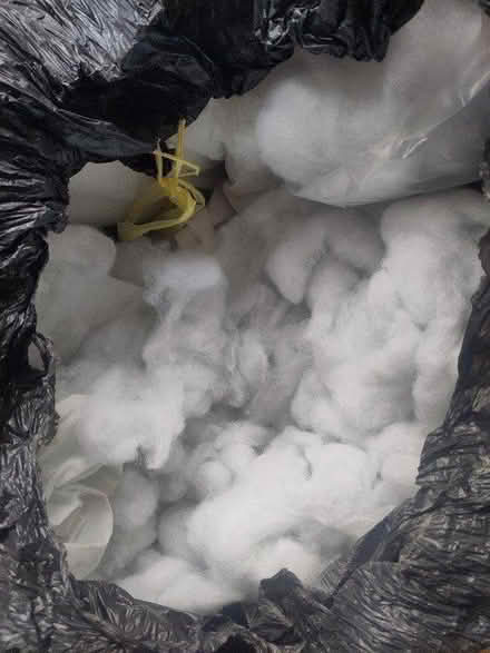 Photo of free Cushion stuffing (G41) #2