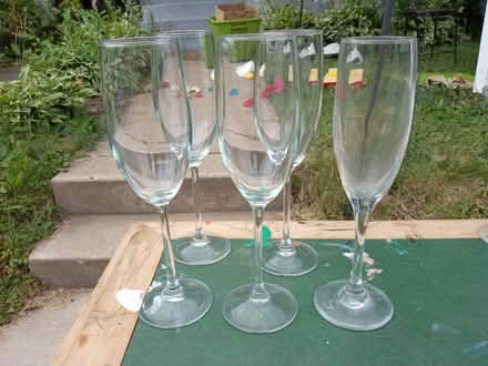 Photo of free Set of five champagne flutes (Morningside) #1