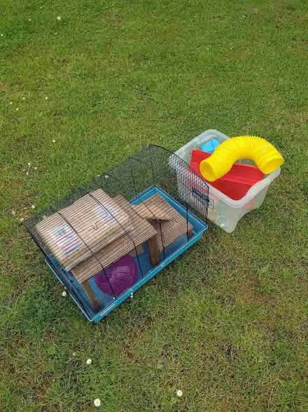 Photo of free hamster cage with accessories (Goose Green NR16) #1