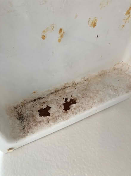 Photo of free Medicine cabinet (Folsom) #3