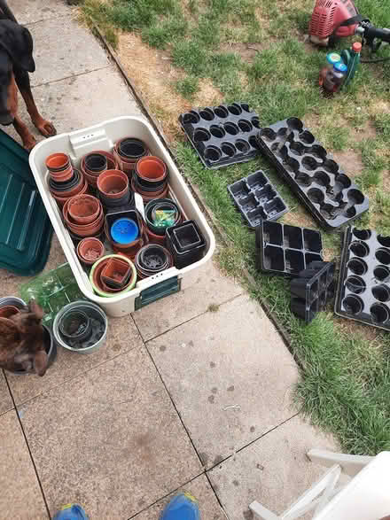Photo of free Plant pots (Cornton FK9) #1