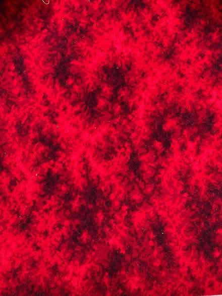 Photo of free Carpet (Oxshott KT11) #1