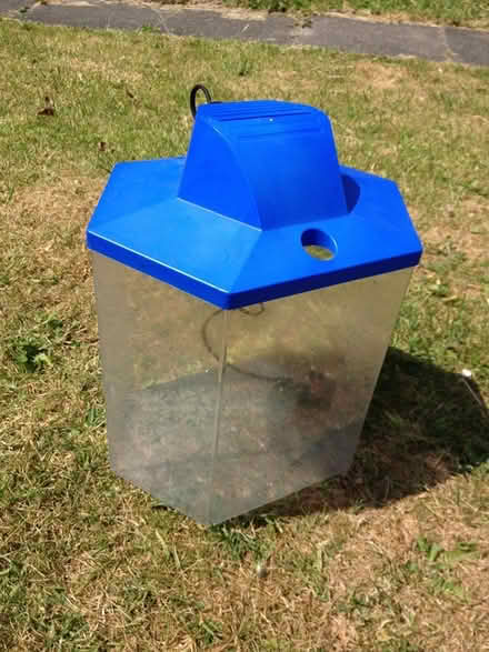 Photo of free Aquarium - or propagator? (Breightmet BL2) #1