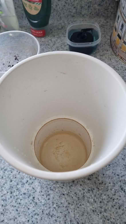 Photo of free Plant Pot (Southbourne BH6) #2