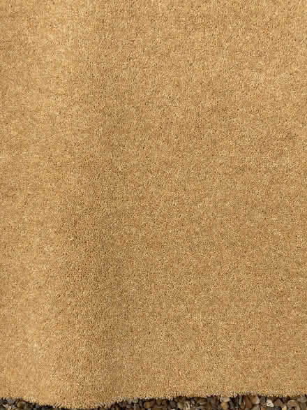 Photo of free Carpet (Oxshott KT11) #1