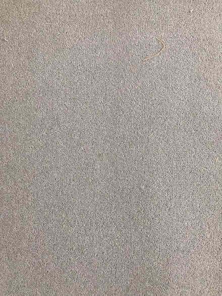 Photo of free Carpet (Oxshott KT11) #1
