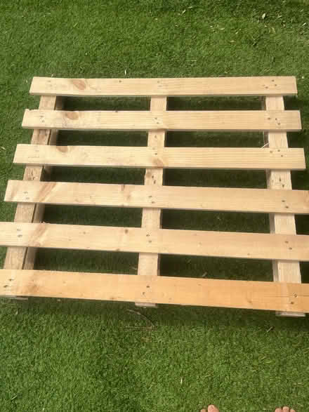 Photo of free Wood Pallet (SW19) #1