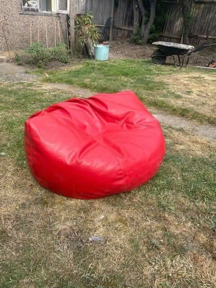 Photo of free CoziBag Bean Bag Chair (SE6) #1