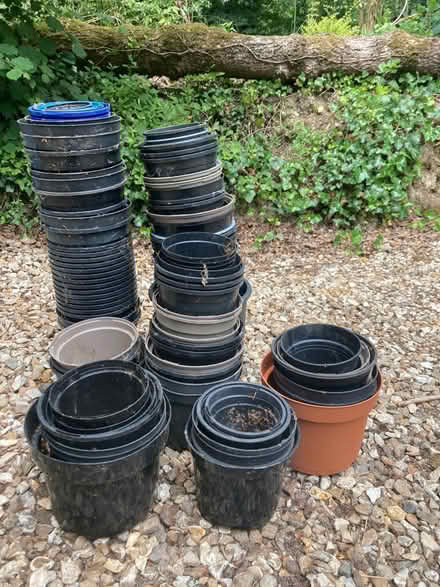 Photo of free Planting pots - plastic (Shortlanesend, TR4) #1