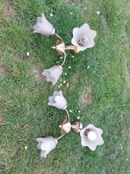 Photo of free Ceiling Lights (Kempshott, Basingstoke) #1