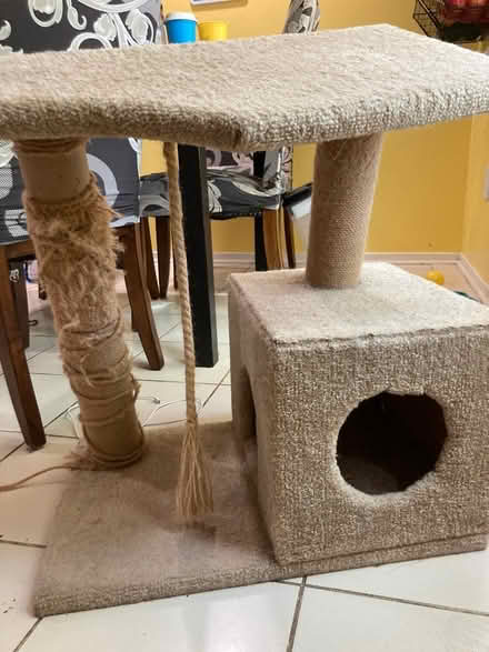 Photo of free Short Cat tower, broken (Woodfield Rd & Airpark) #2