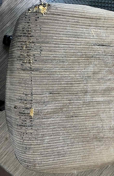 Photo of free Office Chair -- worn but functional (Fremont) #1