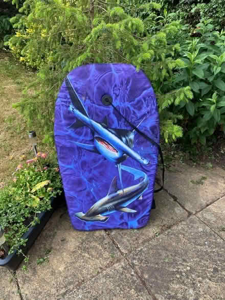 Photo of free Body board (Lymm WA13) #1