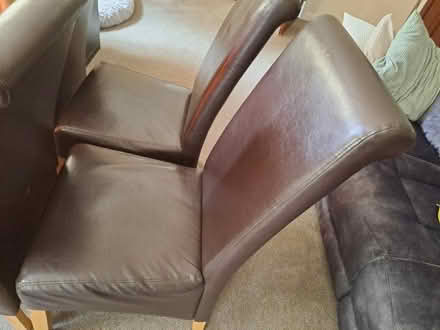 Photo of free 6 dining chairs (Kellington DN14) #2