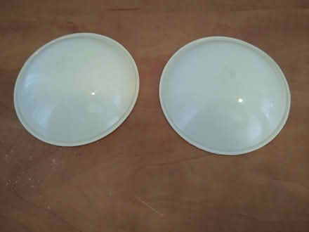 Photo of free Breast protectors for sports (Ridge Blvd and 67th) #1