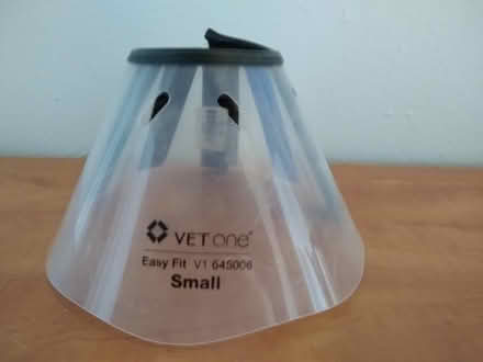 Photo of free Cat or small dog "cone of shame." (Ridge Blvd and 67th) #1