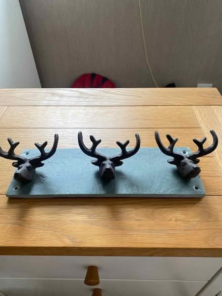 Photo of free Coat hooks (B26, Yardley) #1