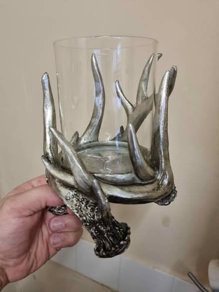 Photo of free Antler table ornament (Hebburn NE31) #1