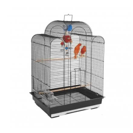 Photo of budgie cage (leagrave LU3) #1