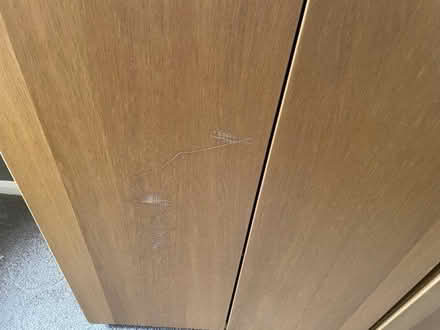 Photo of free Pair of ikea wardrobes (High Brooms TN4) #2
