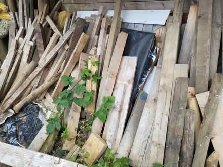 Photo of free Timber (DH4) #1