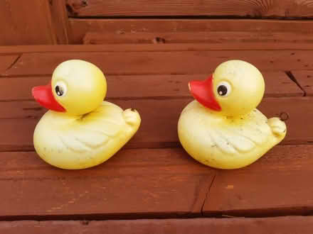 Photo of free Floating duckies toys (M20 South Manchester) #1