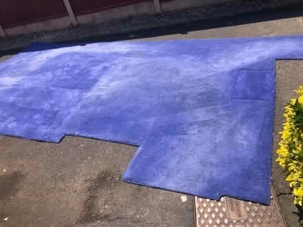 Photo of free Blue carpet (Hyde Lea ST17) #3
