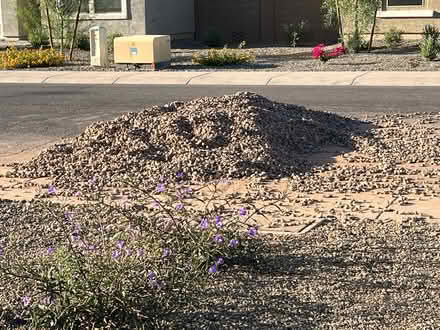 Photo of free rock (Coolidge) #1