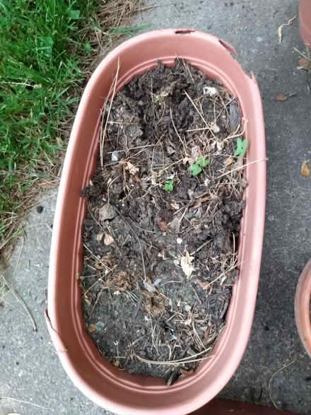 Photo of free Planters/planting pots (Northeast Fort Wayne) #3