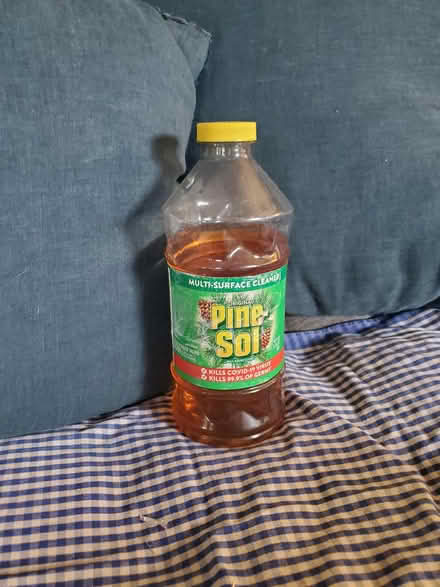 Photo of free Partially used Pine Sol (Ballard) #1