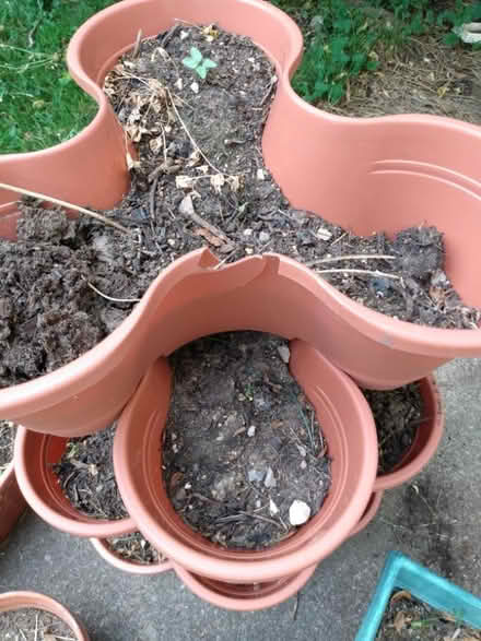 Photo of free Planters/planting pots (Northeast Fort Wayne) #4