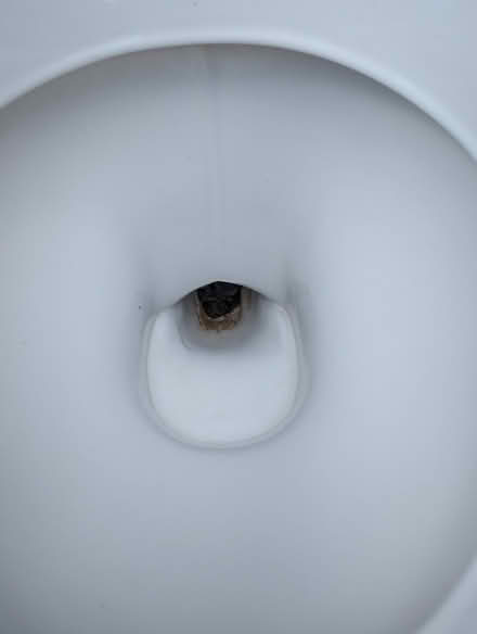 Photo of free Used Toilet (Chorlton, M21) #2