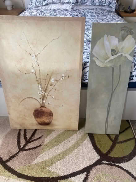 Photo of free Wall canvases (B26, Yardley) #1