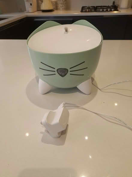 Photo of free Cat Drinking Water Fountain (North Bristol BS16 (near UWE)) #1